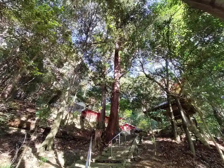 白石神社(京都府)
