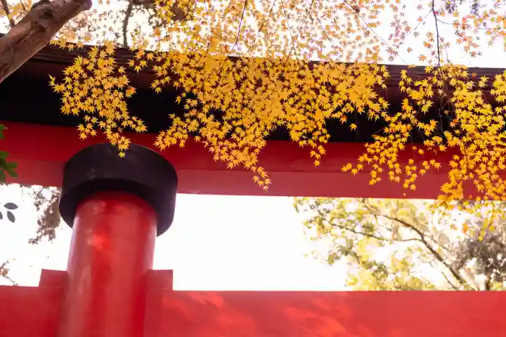 宇佐神宮(大分県)