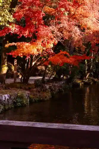 賀茂別雷神社（上賀茂神社）(京都府)