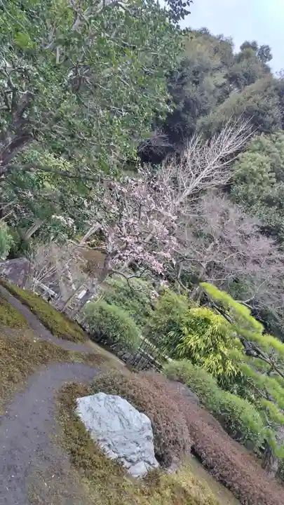 華厳寺(鈴虫寺)(京都府)