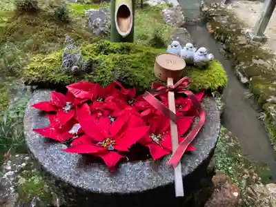 柳谷観音 楊谷寺の手水舎