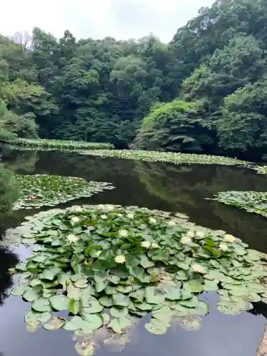 明治神宮(東京都)