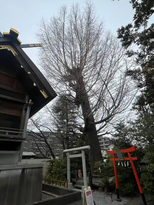 朝日氷川神社(埼玉県)