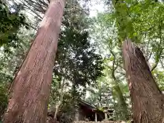 北野神社の自然