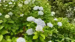 楽法寺（雨引観音）の自然