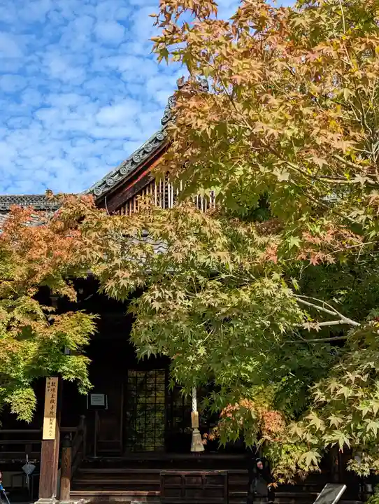 勝林寺(京都府)