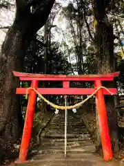 霧島稲荷神社の鳥居