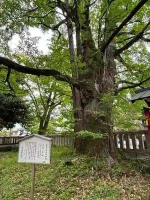 一之宮貫前神社(群馬県)