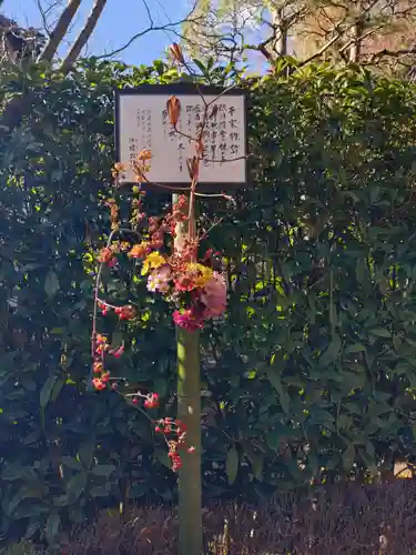 明月院(神奈川県)