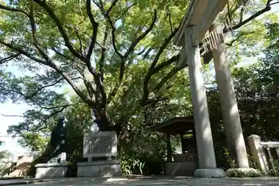 真田山 三光神社のその他建物