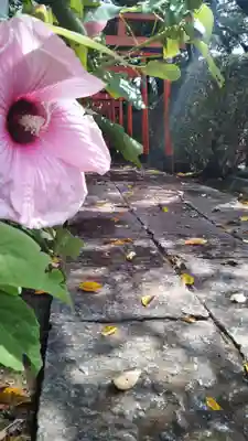 尾曳稲荷神社のその他建物