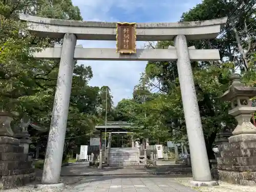 針綱神社の鳥居