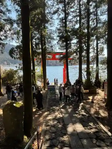 箱根神社の{uncategorized: "未分類", other: "その他", undefined: "問題あり", building: "その他建物", grave: "お墓", sacred_gate: "鳥居", guardian: "狛犬", statue: "像", buddha: "仏像", history: "歴史", nature: "自然", garden: "庭園", animal: "動物", pagoda: "塔", temizu: "手水舎", mountain_gate: "山門・神門", sanctuary: "本殿・本堂", subordinate: "末社・摂社", art: "芸術", scenery: "景色", jizo: "地蔵", ema: "絵馬", goshuin: "御朱印", omikuji: "おみくじ", items: "授与品その他", amulet: "お守り", goshuincho: "御朱印帳", eats: "食事", festival: "お祭り", votive_dance: "神楽", shichigosan: "七五三参", wedding: "結婚式", experience: "体験その他", initially: "初詣", around: "周辺", anti_infection: "感染症対策"}