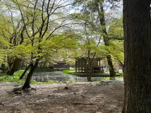 白山神社の建物その他