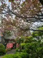 東光寺別院桜ヶ池不動院(東京都)