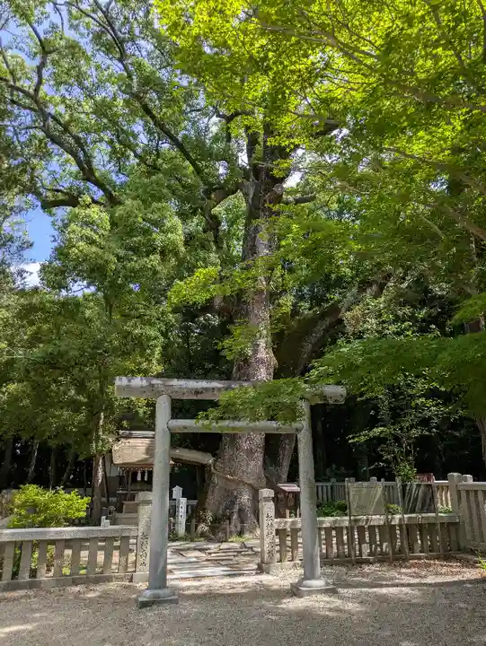伊弉諾神宮(兵庫県)