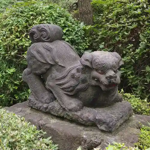 東大島神社の狛犬