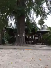 賀羅加波神社の本殿