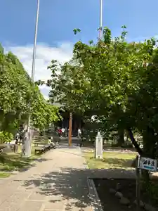秩父札所十三番 慈眼寺の庭園(2026年05月03日(日) 13時11分41秒投稿)