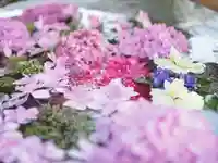 春日神社(福岡県)