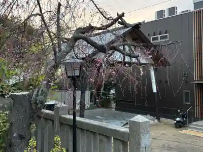 越木岩神社の{uncategorized: "未分類", other: "その他", undefined: "問題あり", building: "その他建物", grave: "お墓", sacred_gate: "鳥居", guardian: "狛犬", statue: "像", buddha: "仏像", history: "歴史", nature: "自然", garden: "庭園", animal: "動物", pagoda: "塔", temizu: "手水舎", mountain_gate: "山門・神門", sanctuary: "本殿・本堂", subordinate: "末社・摂社", art: "芸術", scenery: "景色", jizo: "地蔵", ema: "絵馬", goshuin: "御朱印", omikuji: "おみくじ", items: "授与品その他", amulet: "お守り", goshuincho: "御朱印帳", eats: "食事", festival: "お祭り", votive_dance: "神楽", shichigosan: "七五三参", wedding: "結婚式", experience: "体験その他", initially: "初詣", around: "周辺", anti_infection: "感染症対策"}