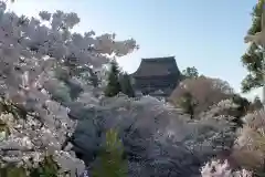 金峯山寺の建物その他