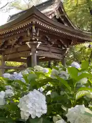 妙楽寺(神奈川県)