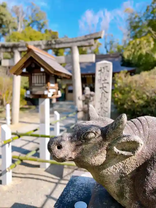和泉國一之宮 大鳥大社の狛犬
