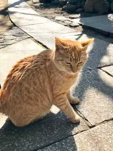奥澤神社(東京都)