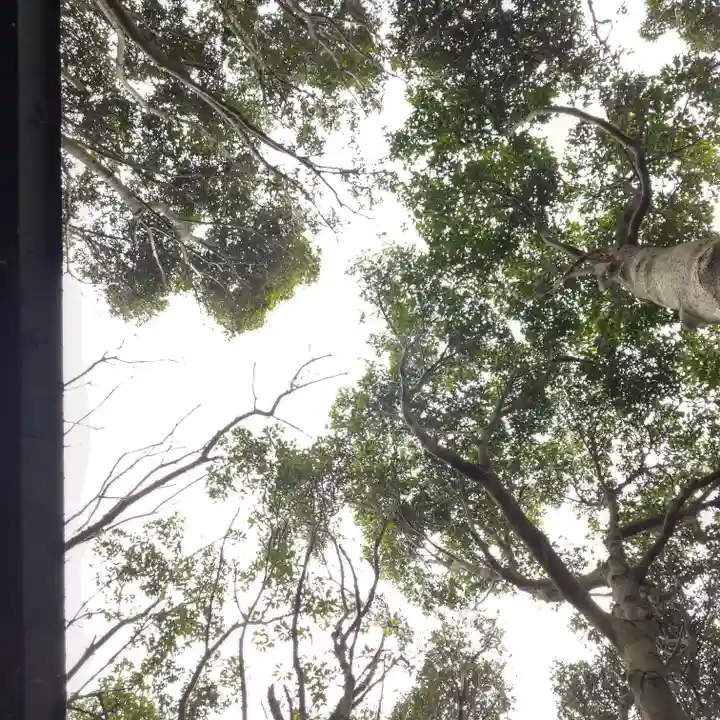 天満神社の自然