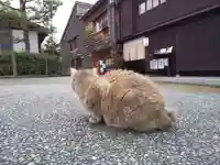 宇多須神社(石川県)