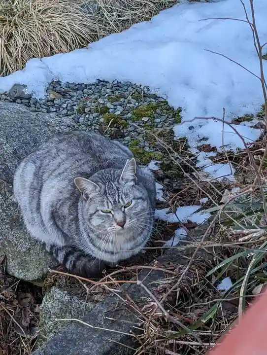 櫻山神社(岩手県)