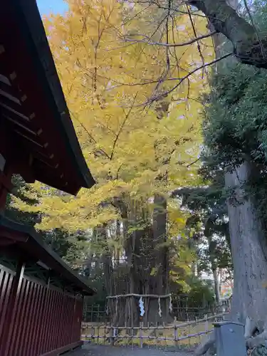 大國魂神社(東京都)