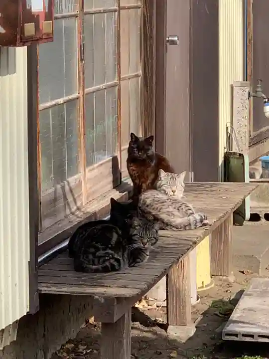 蘇我比咩神社(千葉県)