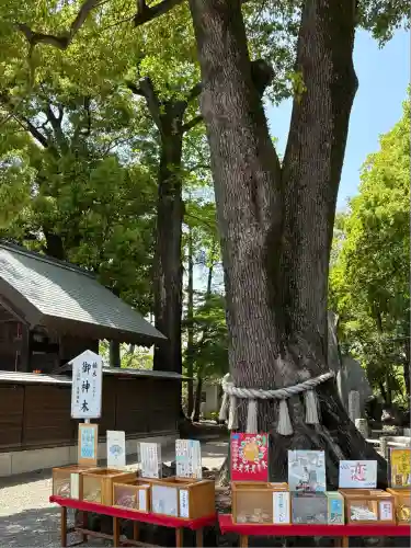 玉村八幡宮(群馬県)