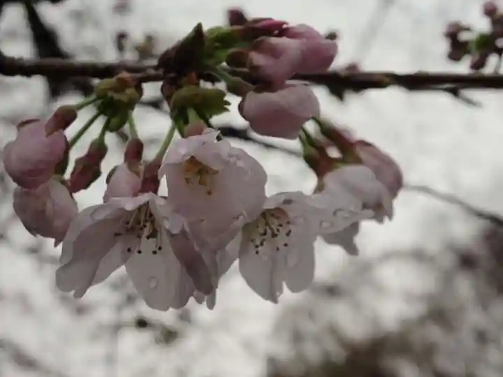 常昌院(神奈川県)