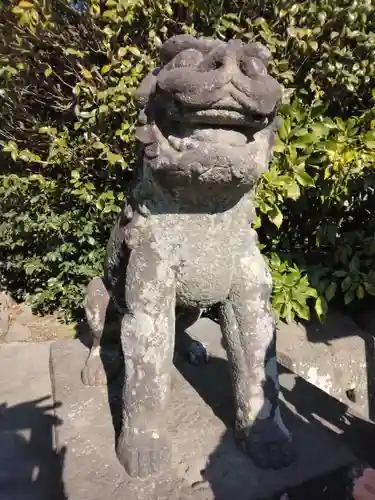 鶴岡八幡宮の狛犬