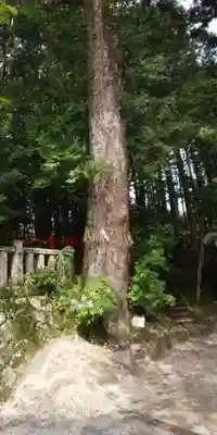八大神社(京都府)
