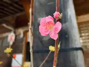 滑川神社 - 仕事と子どもの守り神のその他建物(2020年03月04日(水) 15時58分43秒投稿)