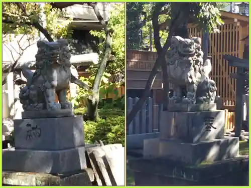 仲町氷川神社の狛犬