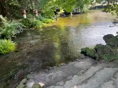富士山本宮浅間大社(静岡県)
