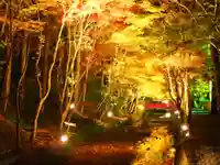 小國神社の庭園