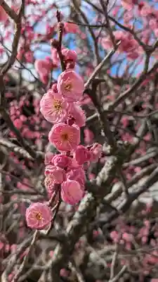 清凉寺(京都府)