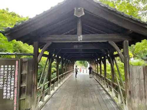 東福禅寺（東福寺）(京都府)