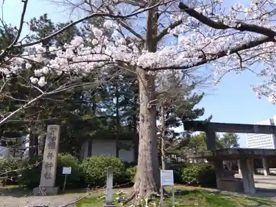 福井神社(福井県)