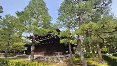 大徳寺(京都府)