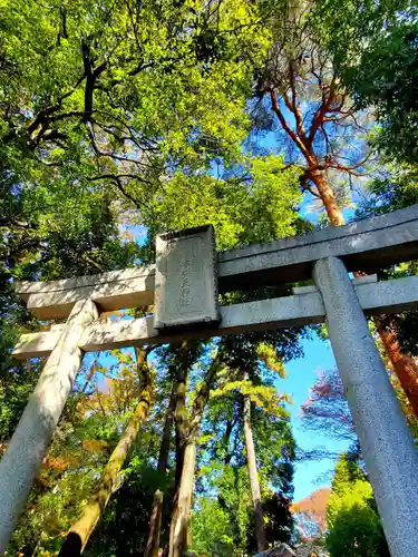 布多天神社の鳥居