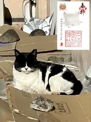 白金氷川神社(東京都)