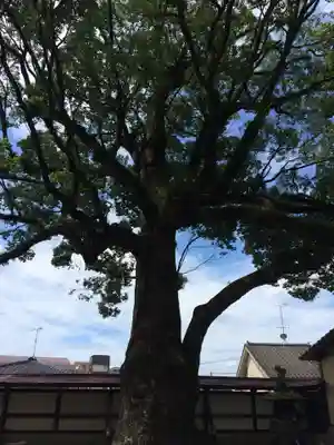 鹿児島神社(鹿児島県)