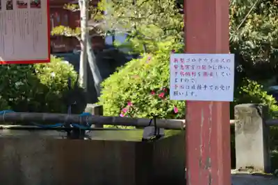 津島神社の手水舎